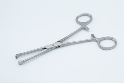 قورسپس آلیس