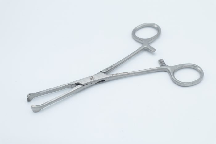 قورسپس آلیس