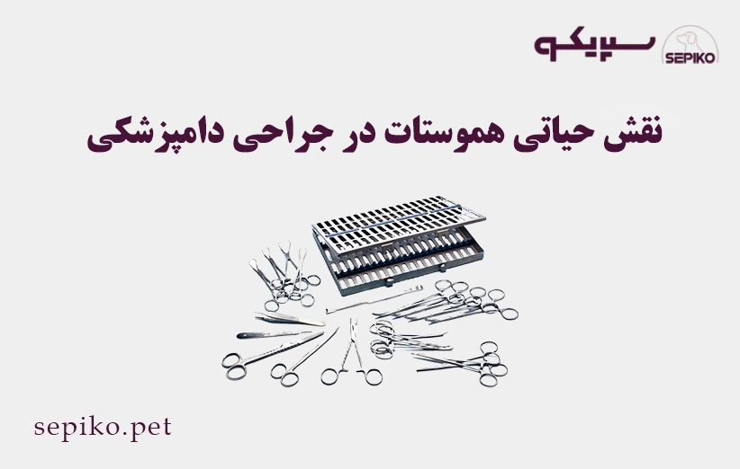 نقش حیاتی هموستات در جراحی دامپزشکی