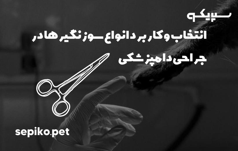 انتخاب و کاربرد انواع سوزنگیرها در جراحی دامپزشکی