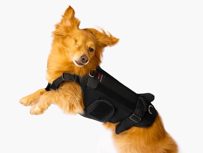 بریس کمر(back brace) - Image 3