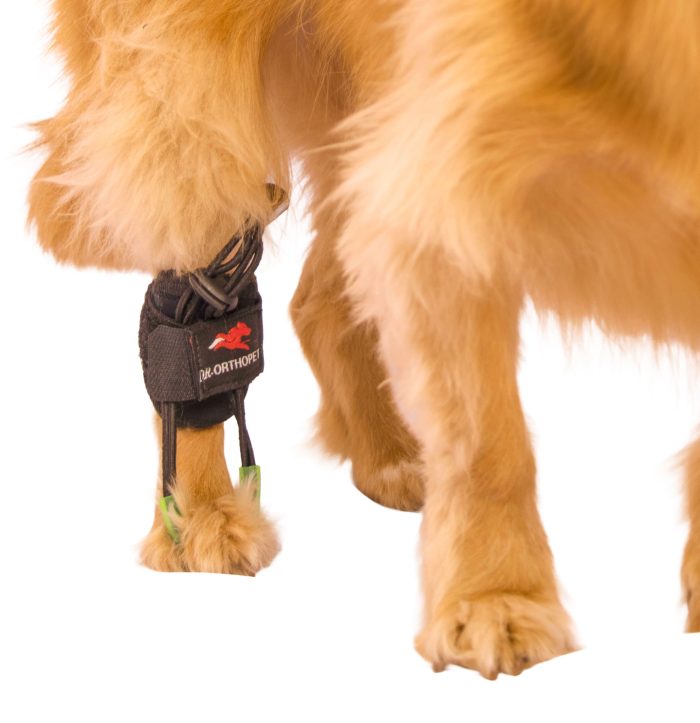 بریس knockling - Image 2