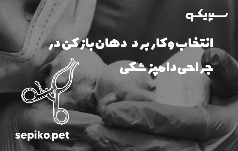 انتخاب و کاربرد دهان باز کن در جراحی دامپزشکی