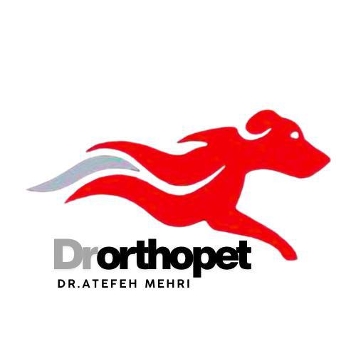 photo_2025-10-11_21-50-44