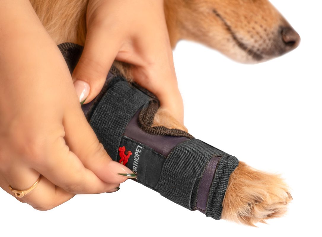 بریس مچ سایز۱(carp support)