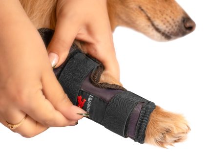 بریس مچ سایز۱(carp support)