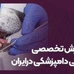 سپیکو حامی آموزش تخصصی دندانپزشکی دامپزشکی در ایران