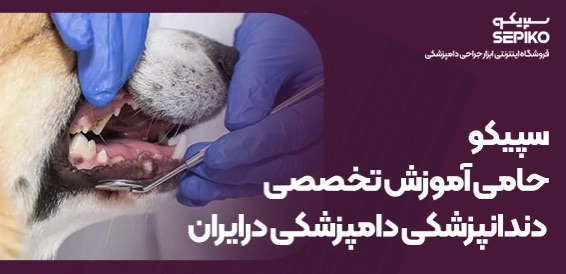 سپیکو حامی آموزش تخصصی دندانپزشکی دامپزشکی در ایران