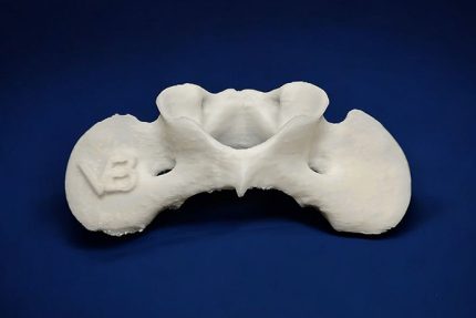 استخوان مهره 1 گردنی سگ