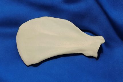 استخوان کتف سگ